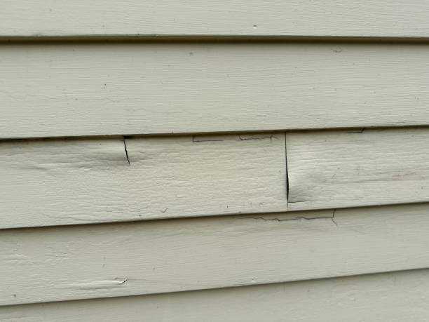 Professional Siding in Ocilla, GA